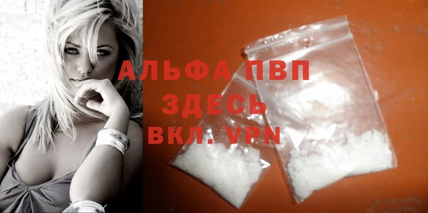 твердый Арсеньев