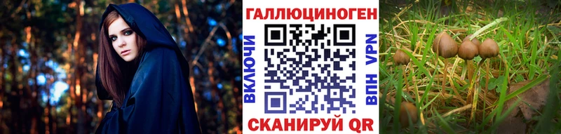 наркошоп  Новоузенск  Галлюциногенные грибы ЛСД 